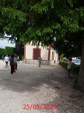 mêlle tournante (10)